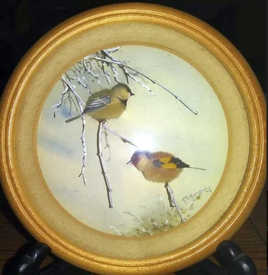 Chickadee and Goldfinch